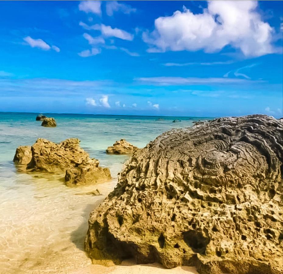 Palm Villa Ishigakijima Yugafu Ishigaki  Εξωτερικό φωτογραφία